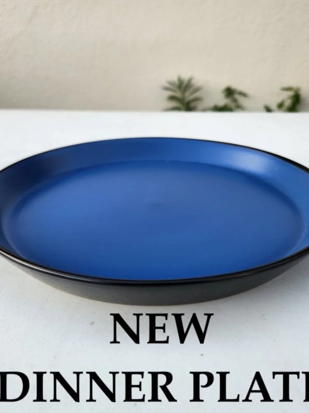 NEW Stone Lain Albie Round Dinner Plate Dinnerware Blue Black Replacement Plates